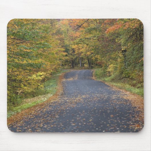 アメリカ、バーモント州南部、道路沿いの紅葉 マウスパッド (正面)