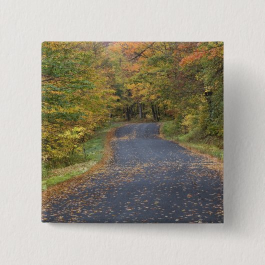 アメリカ、バーモント州南部、道路沿いの紅葉 缶バッジ (正面)