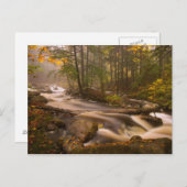 アメリカ, バーモント州, イーストアーリントン, 流れる小川 2 ポストカード (正面/裏面)