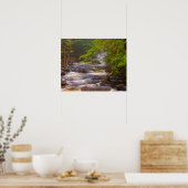 アメリカ、バーモント、イーストアーリントン、流れるストリーム ポスター (キッチン)