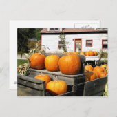 アメリカ、バーモント。カボチャ ポストカード (正面/裏面)