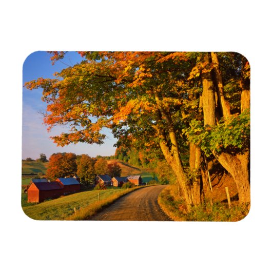 アメリカ、バーモント、サウスウッドストック マグネット (横)