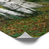 アメリカ、バーモント。サガーハウスザサウス ポスター (角)