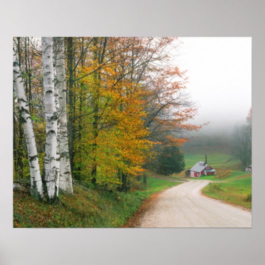 アメリカ、バーモント。サガーハウスザサウス ポスター (正面)