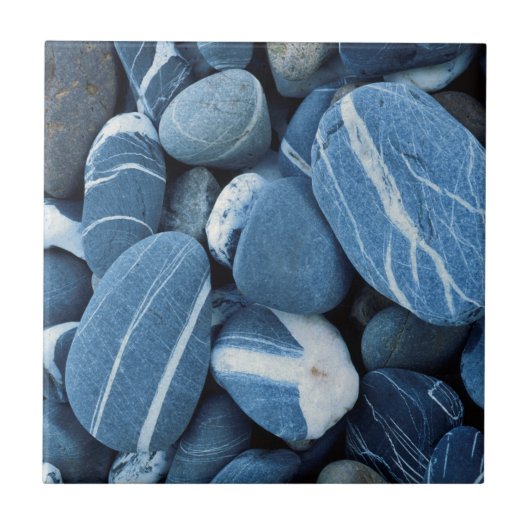 アメリカ、バーモント、シャンプレーン湖、ストーンズ タイル (正面)