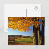 アメリカ、バーモント。ファームシーニックニアサウスウッドストック ポストカード (正面/裏面)