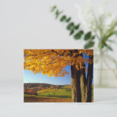 アメリカ、バーモント。ファームシーニックニアサウスウッドストック ポストカード (スタンド正面)