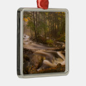 アメリカ、バーモント、東アーリントン、流れる川2 メタルオーナメント (右)