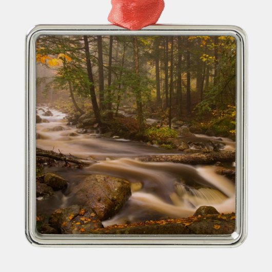 アメリカ、バーモント、東アーリントン、流れる川2 メタルオーナメント (正面)