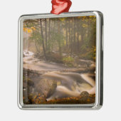 アメリカ、バーモント、東アーリントン、流れる川2 メタルオーナメント (左)