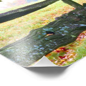 アメリカ、バーモント。秋株の下のフェンス。 フォトプリント            (角)