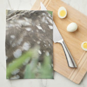 アメリカ,フロリダ州,サンゴ岬,穴あきフクロウ(アテーネ) キッチンタオル (四つ折り)