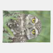 アメリカ,フロリダ州,サンゴ岬,穴あきフクロウ(アテーネ) キッチンタオル (横)