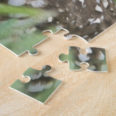 アメリカ，フロリダ州，サンゴ岬，穴あきフクロウ（アテーネ） ジグソーパズル (側面)