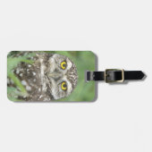 アメリカ,フロリダ州,サンゴ岬,穴あきフクロウ(アテーネ) ラゲッジタグ (正面横)