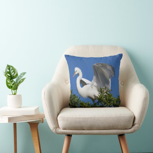 アメリカ,フロリダ州,セントオーガスティン,エグレト クッション (椅子)