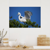 アメリカ，フロリダ州，セントオーガスティン，エグレト ポスター (キッチン)