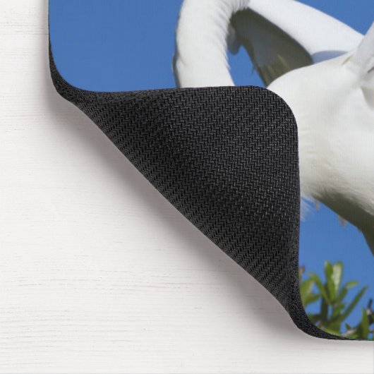 アメリカ,フロリダ州,セントオーガスティン,エグレト マウスパッド (コーナー)