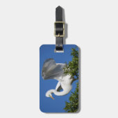 アメリカ，フロリダ州，セントオーガスティン，エグレト ラゲッジタグ (正面縦)