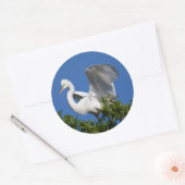 アメリカ、フロリダ州、セントオーガスティン、サギ ラウンドシール (封筒)