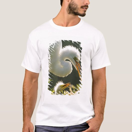 アメリカ、フロリダ州、セントオーガスティン、ワニの農場 Tシャツ (正面)