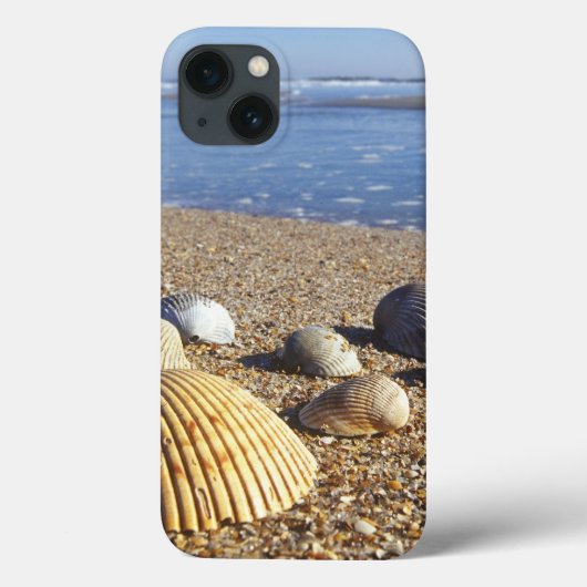 アメリカ、フロリダ州、海岸の貝殻 Case-Mate iPhoneケース (裏面)