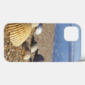 アメリカ、フロリダ州、海岸の貝殻 Case-Mate iPhoneケース (裏面 (横))