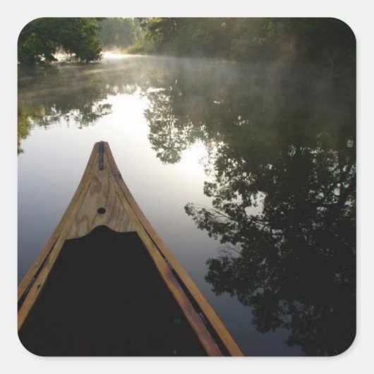 アメリカ、フロリダ、オカラ国有林、アレキサンダー スクエアシール (正面)