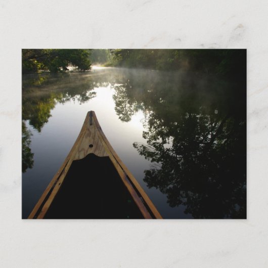 アメリカ、フロリダ、オカラ国有林、アレキサンダー ポストカード (正面)