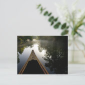 アメリカ、フロリダ、オカラ国有林、アレキサンダー ポストカード (スタンド正面)