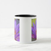 アメリカ、フロリダ、キシミー湖。アオガエル マグカップ (中央)