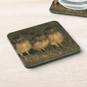 アメリカ、フロリダ、ケープ・コーラル。三つの穴かぐるフクロウ コースター (左側)