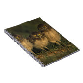 アメリカ、フロリダ、ケープ・コーラル。三つの穴かぐるフクロウ ノートブック (右側)