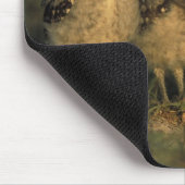 アメリカ、フロリダ、ケープ・コーラル。三つの穴かぐるフクロウ マウスパッド (コーナー)