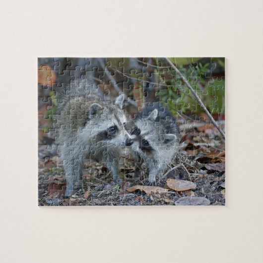 アメリカ、フロリダ、サニベル、デニング・ダーリング国家 ジグソーパズル (横)