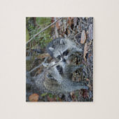 アメリカ、フロリダ、サニベル、デニング・ダーリング国家 ジグソーパズル (縦)