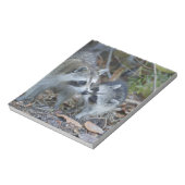 アメリカ、フロリダ、サニベル、デニング・ダーリング国家 ノートパッド (回転)