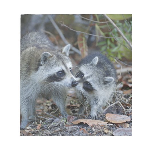 アメリカ、フロリダ、サニベル、デニング・ダーリング国家 ノートパッド (正面)