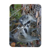 アメリカ、フロリダ、サニベル、デニング・ダーリング国家 マグネット (縦)