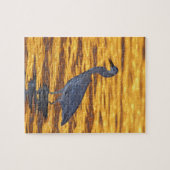 アメリカ、フロリダ、サンクトペテルブルク、フォートデソト公園。 ジグソーパズル (横)