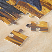 アメリカ、フロリダ、サンクトペテルブルク、フォートデソト公園。 ジグソーパズル (側面)