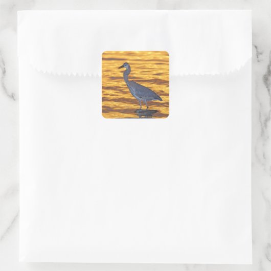 アメリカ、フロリダ、サンクトペテルブルク、フォートデソト公園。 スクエアシール (バッグ)