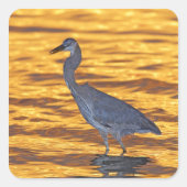 アメリカ、フロリダ、サンクトペテルブルク、フォートデソト公園。 スクエアシール (正面)