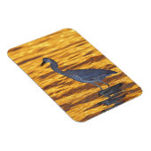 アメリカ、フロリダ、サンクトペテルブルク、フォートデソト公園。 マグネット (右側)