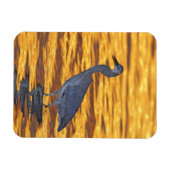 アメリカ、フロリダ、サンクトペテルブルク、フォートデソト公園。 マグネット (横)