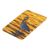 アメリカ、フロリダ、サンクトペテルブルク、フォートデソト公園。 マグネット (左側)