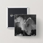 アメリカ、フロリダ、ダイサギ(Ardea alba)赤外線 3 缶バッジ (正面&裏面)