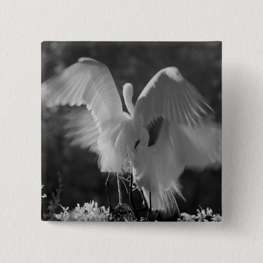 アメリカ、フロリダ、ダイサギ(Ardea alba)赤外線 3 缶バッジ (正面)