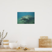 アメリカ、フロリダ、マナティー ポスター (キッチン)