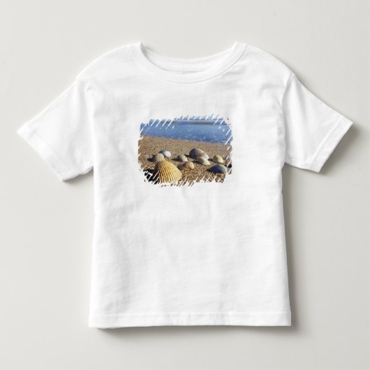 アメリカ、フロリダ、沿岸の貝殻 トドラーTシャツ (正面)